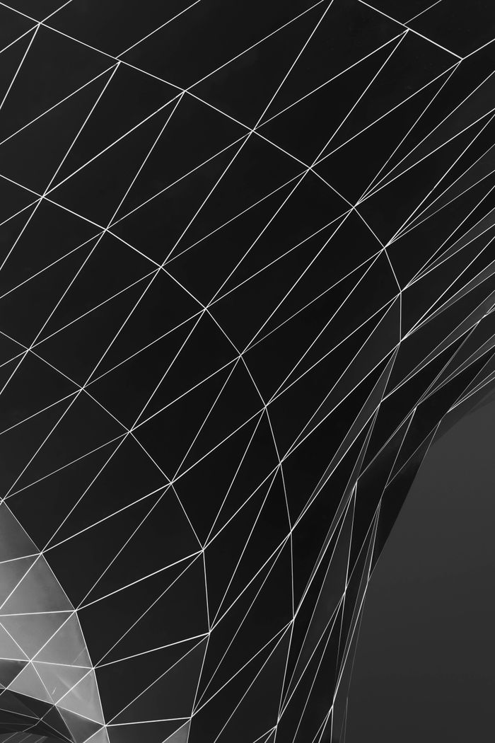 Elegant abstract image featuring an intricate geometric pattern in black and white.